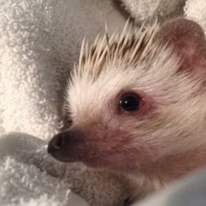 Meet your Posher, Kelly