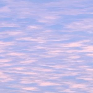 Meet your Posher, Devon