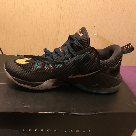 Lebrons - Picture 2 of 3
