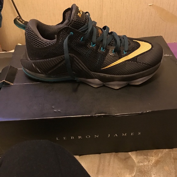 Lebrons - Picture 3 of 3