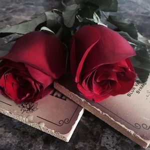 Meet your Posher, Patsy