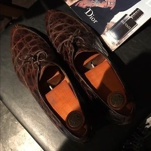 Brown lizard.  Vintage.