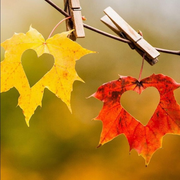 Meet your Posher, Cheri