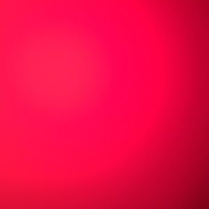 Meet your Posher, Cat