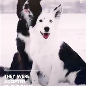 Meet your Posher, Cameron