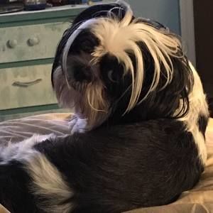 Meet your Posher, Tina