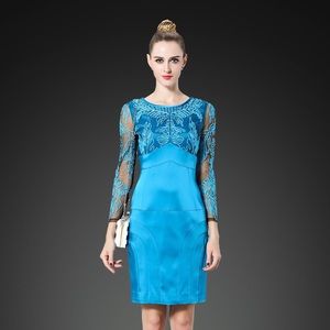 Sale🎈 🎉Embroidered Blue Statement Dress