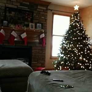 Meet your Posher, Tara