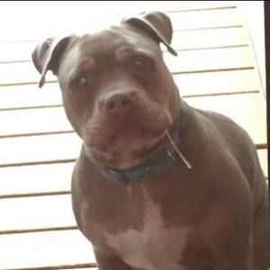 Meet your Posher, Gavin