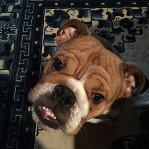 Meet your Posher, Heather