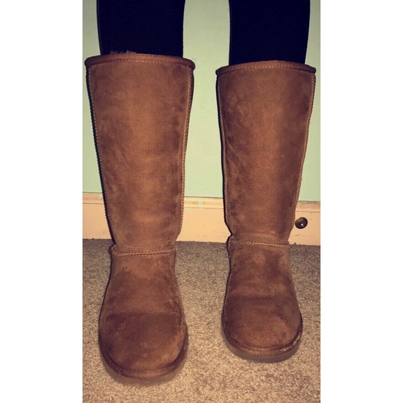 Chestnut Tall Uggs