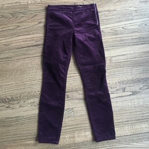 GAP Side Zip Velvet Pant