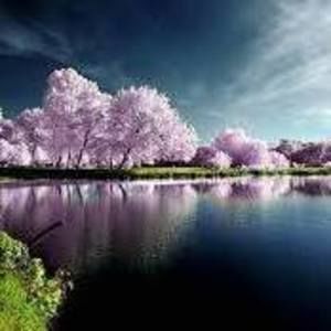 Meet your Posher, Tami