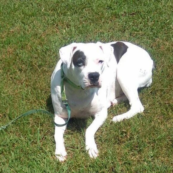 Meet your Posher, Jeanie - Picture 1 of 1