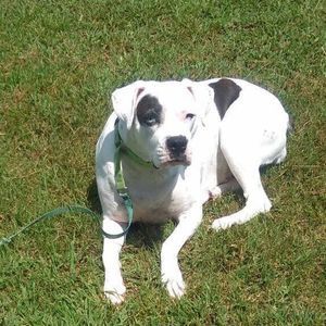 Meet your Posher, Jeanie