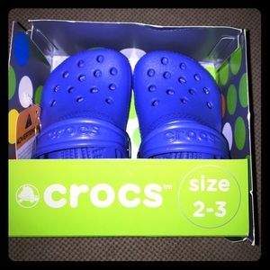Baby Crocs!