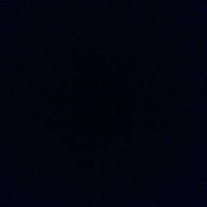 Meet your Posher, Audrey