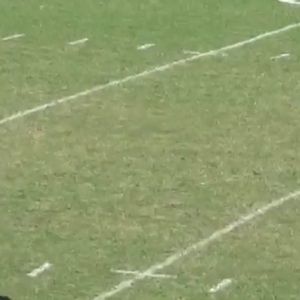 Meet your Posher, Max