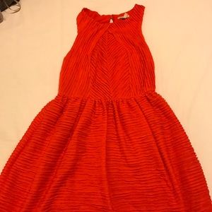 Anthropologists dress