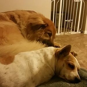 Meet your Posher, Mindy