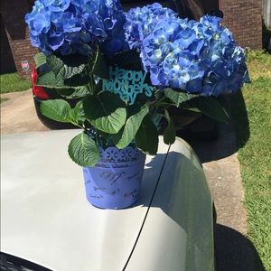 Meet your Posher, Angela