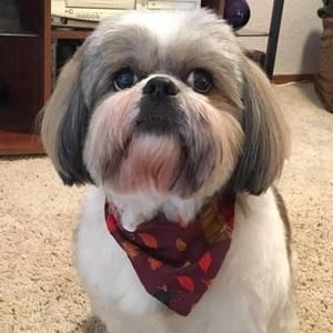 Meet your Posher, Tina