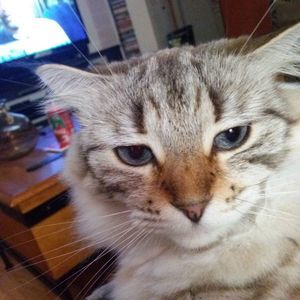 Meet your Posher, Jorge