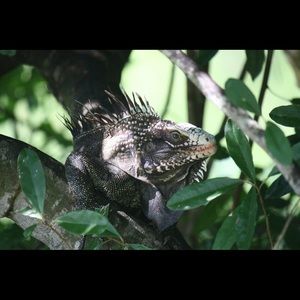 Meet your Posher, Nate