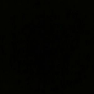 Meet your Posher, Candi