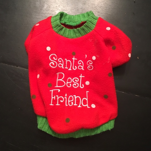 Dog sweater for a dog under 20 pounds