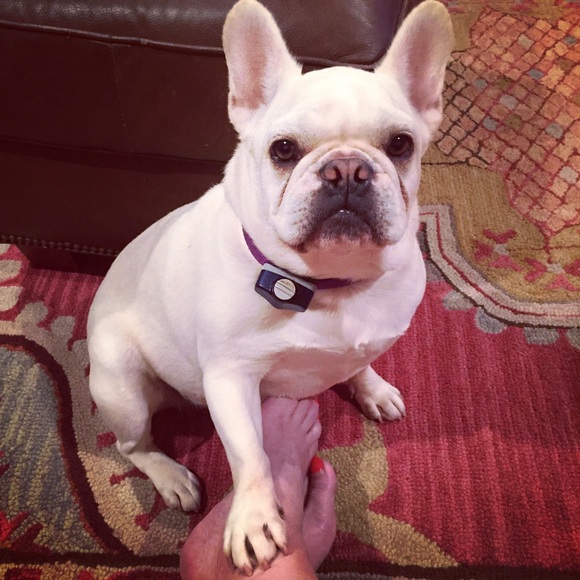 Meet your Posher, Meredith - Picture 1 of 1