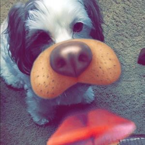 Meet your Posher, Nicole