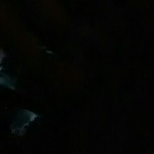 Meet your Posher, Destiny