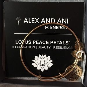 Alex and Ani Bracelet