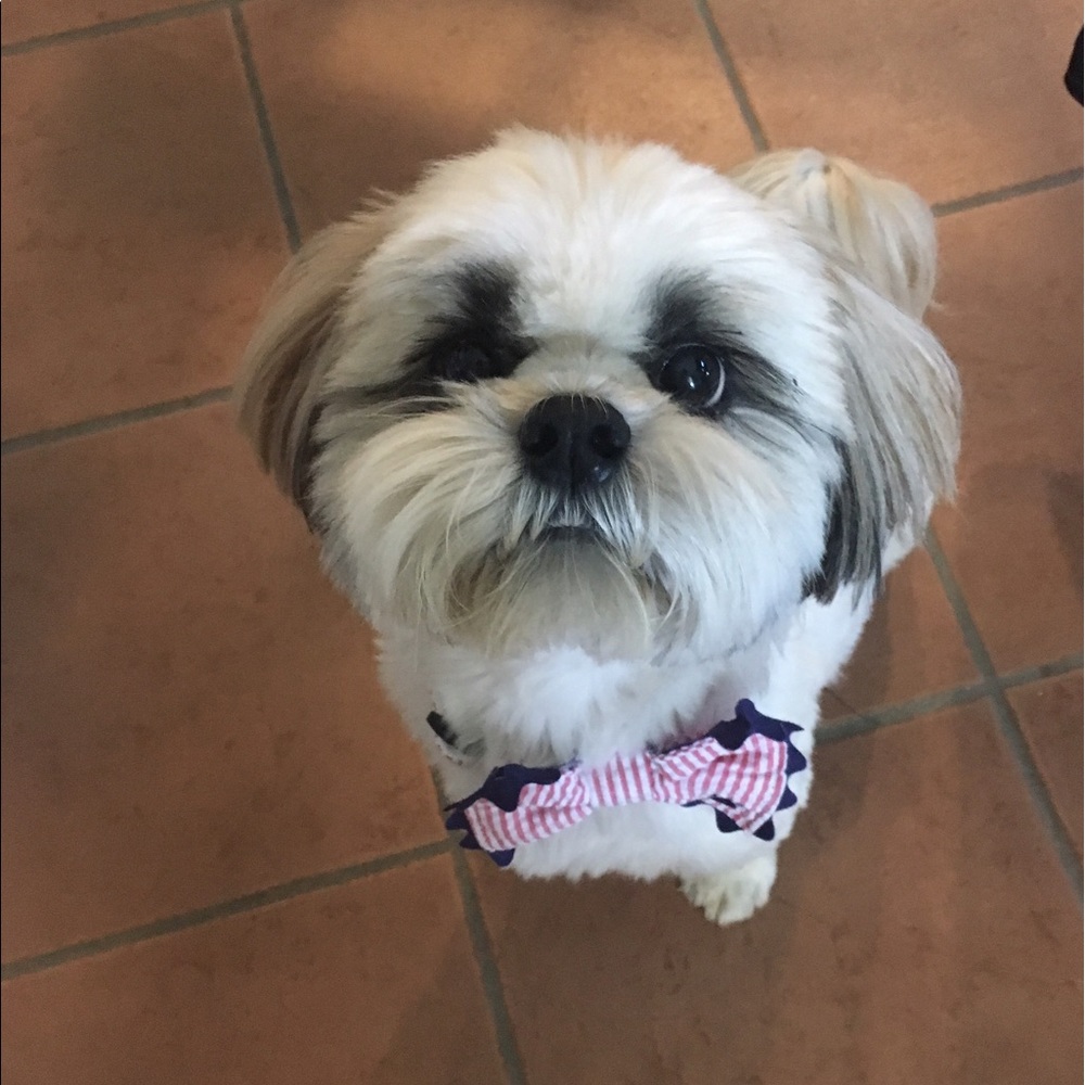 Meet your Posher, Kelsey