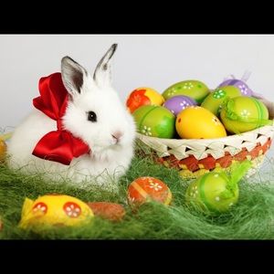 20% Off Bundles of 2+ Items for Easter! 🐰🐣