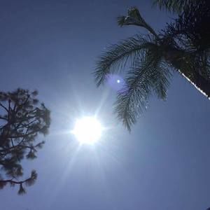 Meet your Posher, Missy