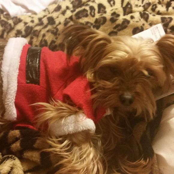 Meet your Posher, Laura - Picture 1 of 1