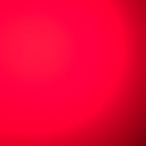 Meet your Posher, Shane