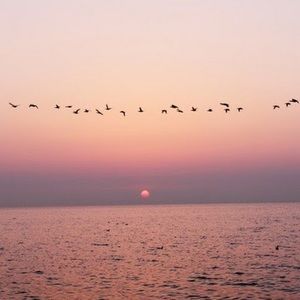 Meet your Posher, Jiyoon