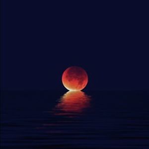 Meet your Posher, Edith