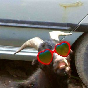 Meet your Posher, Bryan