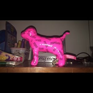 Victoria's Secret Pink Dog