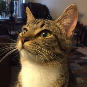 Meet your Posher, Amber