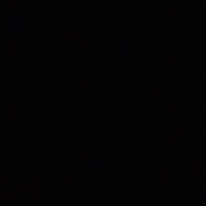 Meet your Posher, Raina