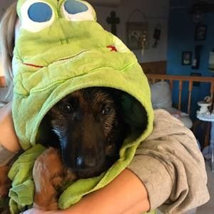 Meet your Posher, Vanessa