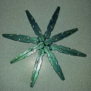 Meet your Posher, Teri