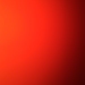 Meet your Posher, Ray