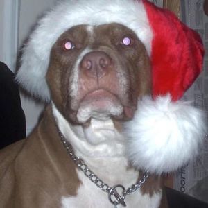 Meet your Posher, Éireann