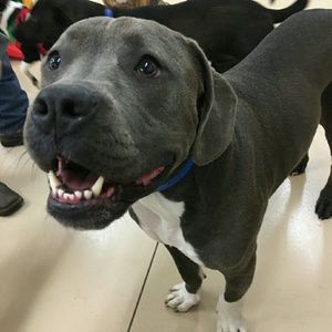 Meet your Posher, Terry